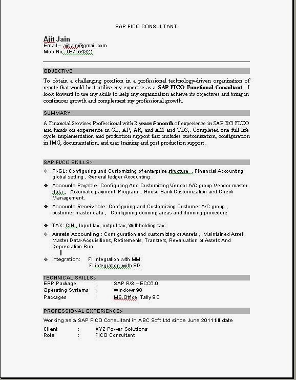 Plm functional consultant resume